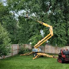  Woodville, WI Tree Care Pros